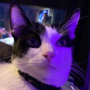 Meet your Posher, Emma